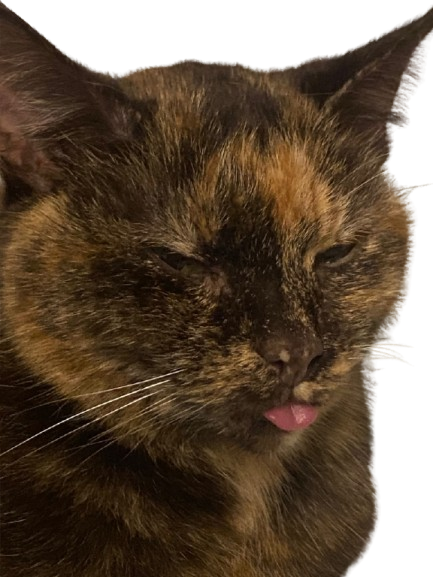 Mia